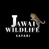 Jawai Wildlife Safari