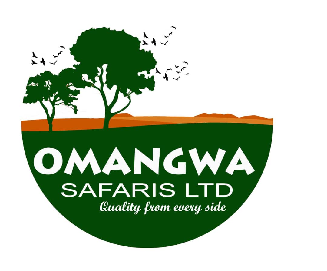 Omangwa Safaris
