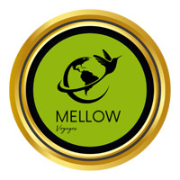 Mellow Voyages Pvt Ltd Image