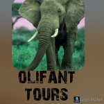 Olifant Tours Safari Travel