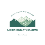 Fariha Holidays Kashmir Tour & Travels Image