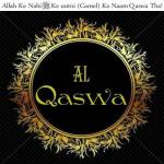 Al Qasawa Haj Umrah Tures