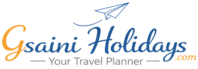 G Saini Overseas Pvt Ltd