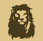 Lion View Tours Ltd