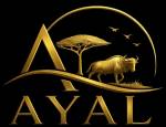 Ayal Tours and Travel