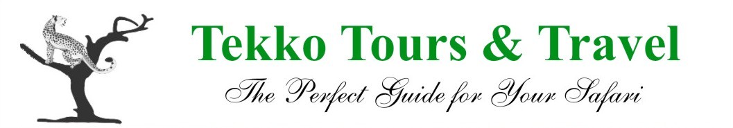 Tekko Tours & Travel Ltd.