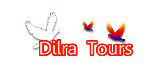 Dilra Tours Private Limited