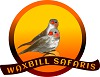 Waxbill Safaris
