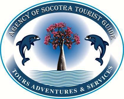 Socotra Travel Guide 