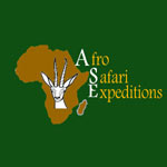 Ase Safaris