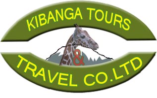 Kibanga Tours and Travel Co.ltd
