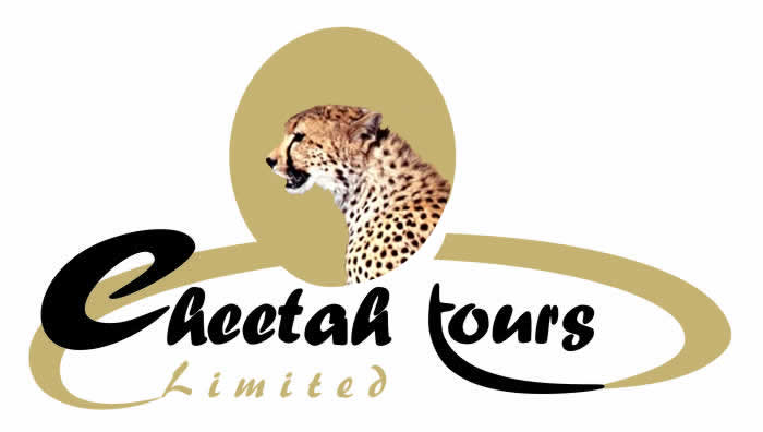 cheetah tours limited