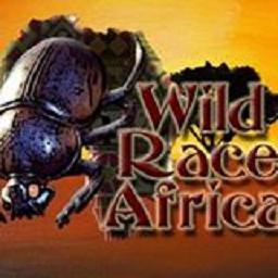 Wildrace Africa Safaris
