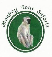Monkey Tour Safaris
