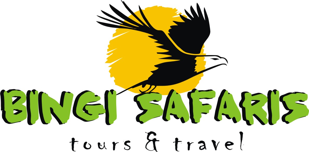 Bingi Safaris