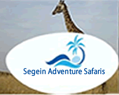 Segein Adventure Safaris