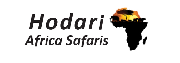 Hodari Kenya Safaris