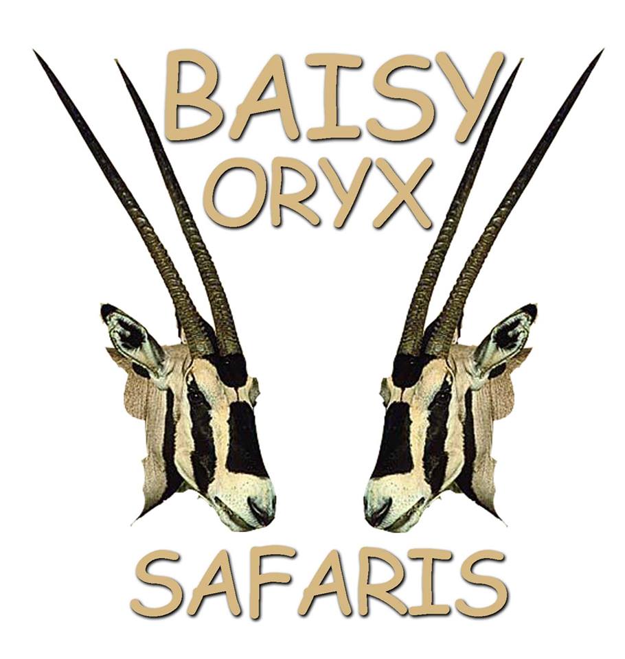 Baisy Oryx  Safaris Ltd