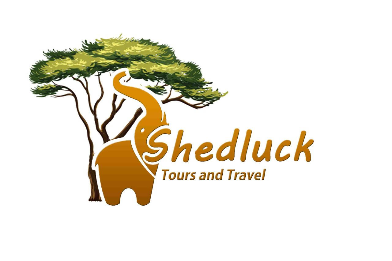 Shedluck Tours and Travel Ltd