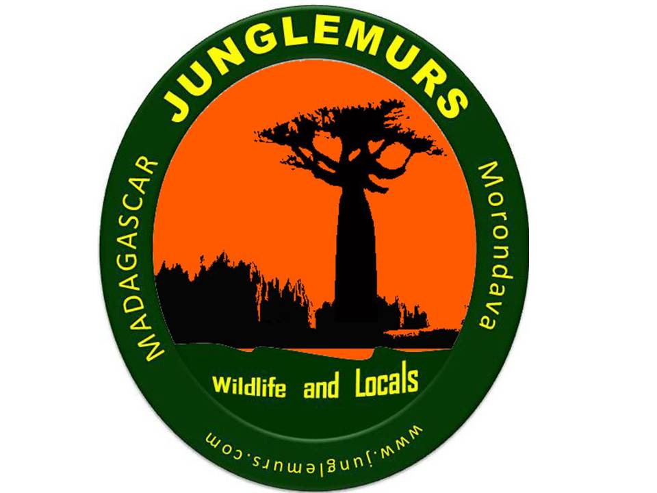 Junglemurs