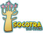 Socotra Eco-Tours