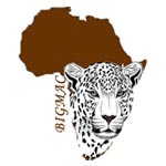 Bigmac Africa Safaris
