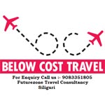 Futurezone Travels Consultant