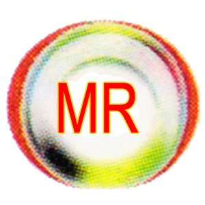 Maa Radhika Tour & Trav..