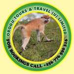 Orogu Tours and Travel ..