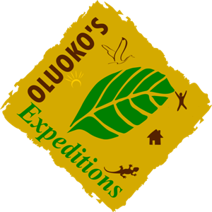 Oluoko's Expeditions