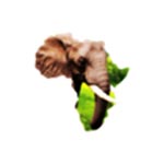 Tembo Adventure and Safaris