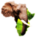 Tembo Adventure and Safaris