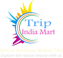 Trip India Mart