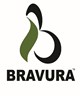 Bravura Tourism Travel
