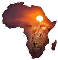 Pride in Africa Safaris