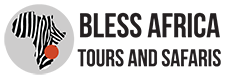 Bless Africa Tours and Safaris