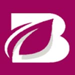 K- Quick Solutions L L P