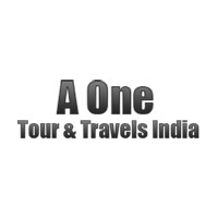 A One Tour & Travels India