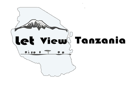 Let's View Tanzania