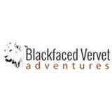 Blackfaced Vervet Adventures
