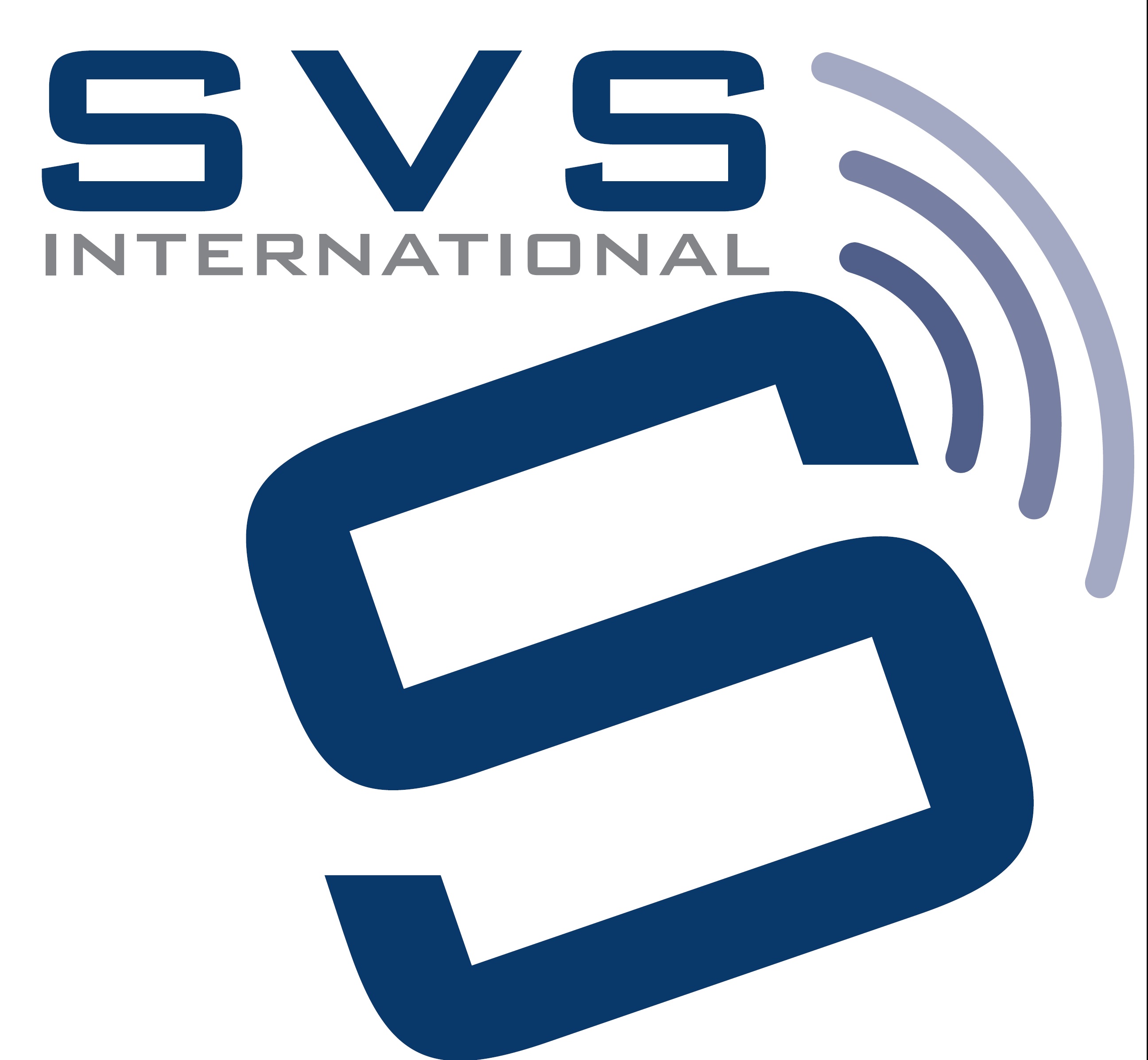 Svs Visa Services(india) Pvt Ltd