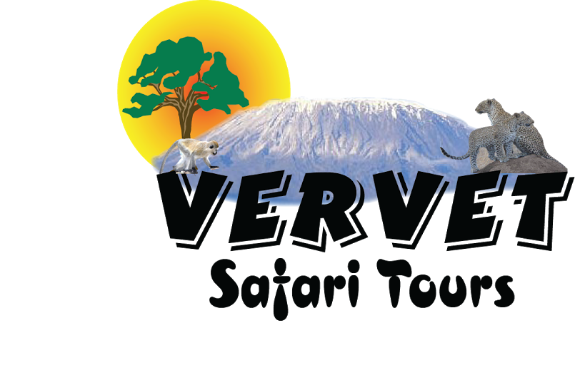 Vervet Safari Tours