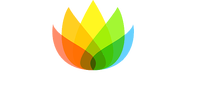Gozuidindia Tours