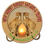 New SunSet Budget Safaris and Travel
