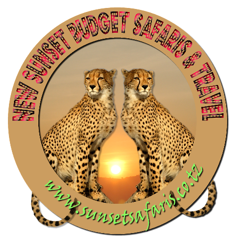 New SunSet Budget Safaris and Travel