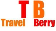TravelBerry india
