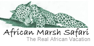 African Marsh Safarsi &..