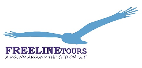 Freeline Tours (Pvt) Ltd