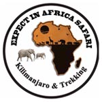 Expect In Africa Safari