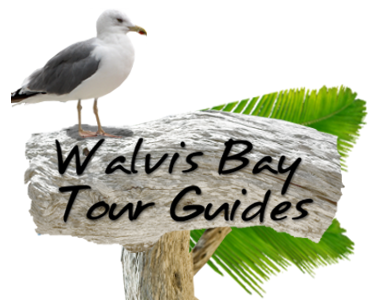 Walvis Bay Tour